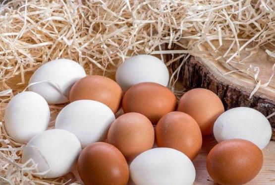 Azərbaycanın yumurta istehsalında böyük azalma