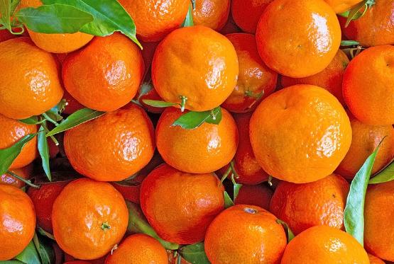 Biznes üçün daha sərfəli mandarin növü yaradılıb - AZƏRBAYCANDA