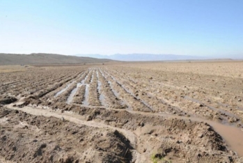 İvanovkada əkin sahələrinin su təminatı üçün 7,6 milyon manat xərclənəcək - TENDER NƏTİCƏSİ