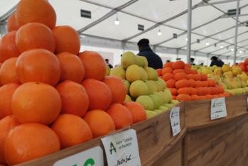 Bakıda "Kənddən Şəhərə" Yeni il yarmarkası keçirilir