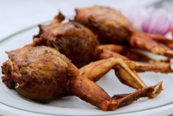 Ötən il Azərbaycan 23 ton qurbağa əti satıb - RƏSMİ