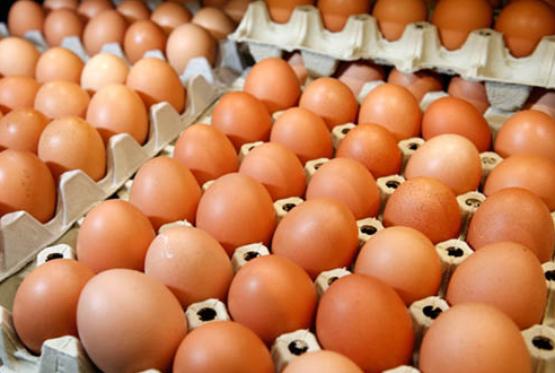 Sabah istehsal olunacaq yumurta bu gün satışa çıxarıldı - ARAŞDIRMA BAŞLADI
