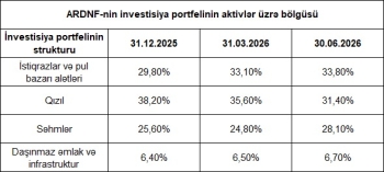 Neft Fondu aktivlərini nədə saxlayır? – TAM SİYAHI, MÜQAYİSƏ | FED.az
