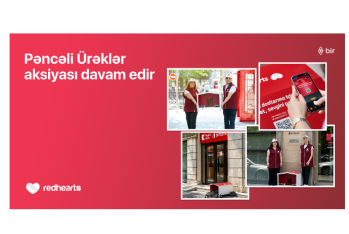 “Pəncəli Ürəklər” aksiyası çərçivəsində sahibsiz heyvanlar üçün yuvaların sayı - 35-Ə ÇATDI