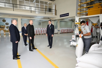 Sabirabad Sənaye Məhəlləsində toxum istehsalı müəssisəsinin fəaliyyəti ilə tanışlıq | FED.az