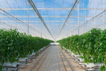 "BAKU AGROPARK MMC" işçi axtarır - MAAŞ 1800 MANAT - VAKANSİYA