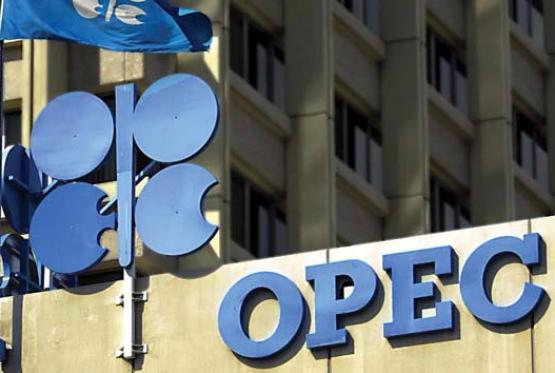 OPEC: Təşkilata üzv olmayan ölkələr hasilatı gündə 600 min bareldən çox azalda bilər