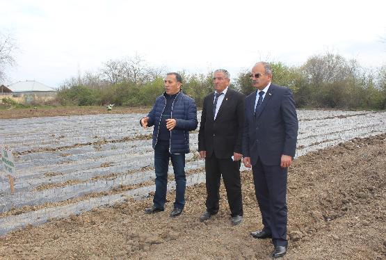 Azərbaycanda Çin texnologiyası ilə - YENİ TƏSƏRRÜFAT YARADILIB