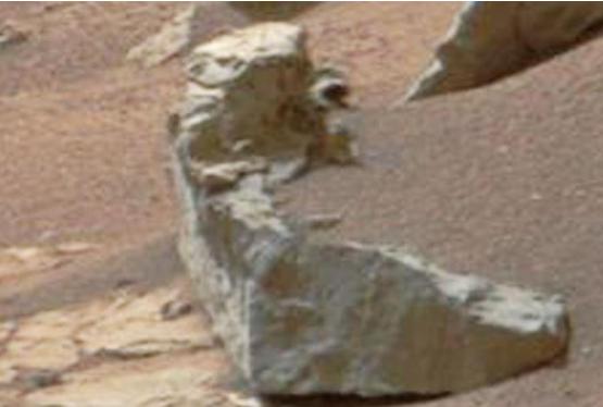 Marsda pinqvin tapıldı