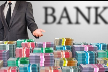 Şahin Mahmudzadə: "Bankların iqtisadiyyata yönəldə biləcəyi 20 milyard manat sərbəst vəsaiti var"