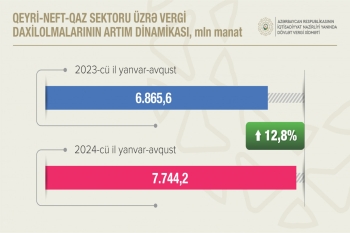 Qeyri-neft-qaz sektorundan vergi daxilolmaları 900 milyon manata yaxın artıb | FED.az