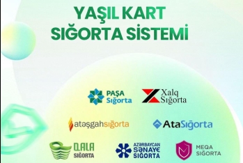 «Yaşıl Kart» sistemində işləyən sığorta şirkətləri açıqlandı - SİYAHI