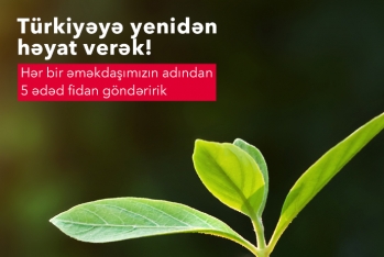 “AccessBank” Türkiyəyə - 6000 Ağac Tingi Bağışlayacaq