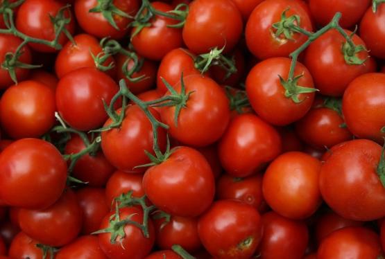 Azərbaycan Rusiya bazarına pomidor - İXRACINI ARTIRIR