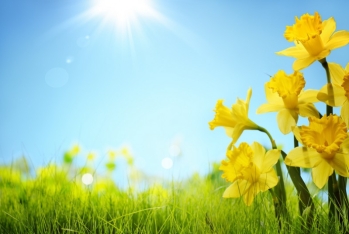 22 dərəcə isti - SABAHIN HAVA PROQNOZU