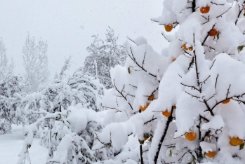 Bakıya yağış, rayonlara qar yağacaq - SABAHIN HAVA PROQNOZU