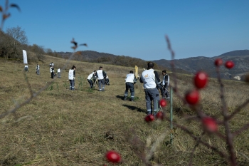 “AzerGold” “Daşkəsən rayonunda bitən nadir bitkilərin reintroduksiyası” layihəsini uğurla icra edib | FED.az