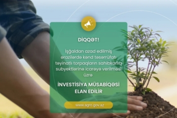 Qarabağdakı aqrar təyinatlı torpaqların icarəyə verilməsi üzrə lV investisiya müsabiqəsi elan edilib