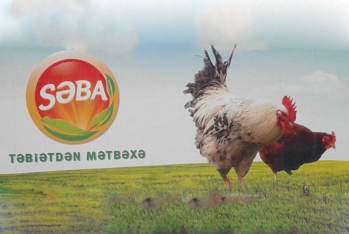 “Səba” külli miqdarda borca düşdü - RƏHBƏRİ DƏYİŞDİ