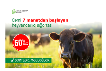 Cəmi 7 manatdan başlayan heyvandarlıq sığortası – ŞƏRTLƏR, MƏBLƏĞLƏR