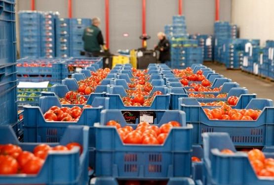 Rusiya 36 tondan çox Azərbaycan pomidorunu geri qaytarıb