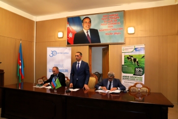 Ağcabədidə pambıq zərərləri üzrə sığorta ödənişləri 400 min manatı keçib – FERMERLƏRLƏ GÖRÜŞ | FED.az