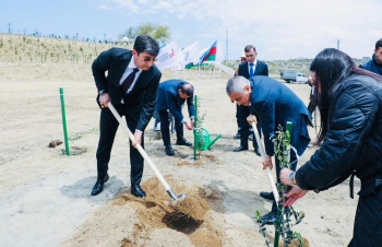 YAP-ın Sabunçu təşkilatı və “Balakhani Operating Company LTD”nin birgə təşəbbüsü ilə ağacəkmə aksiyası keçirilib | FED.az