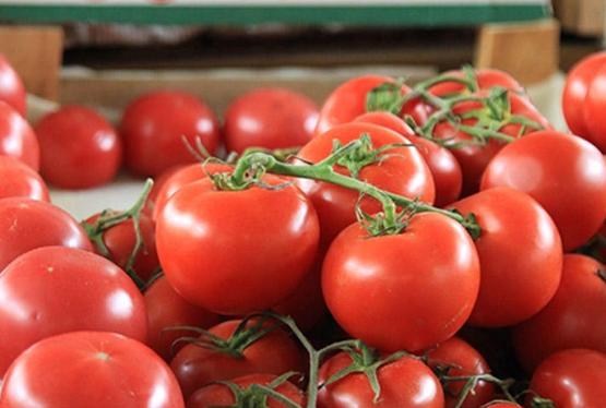 Ən çox pomidor - İXRAC OLUNUB - İCMAL