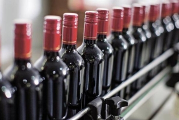 "Şəki Şərab MMC" işçi axtarır - VAKANSİYA