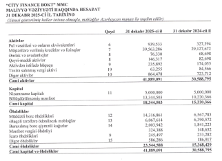 «City Finance BOKT» sürətlə böyüyür, mənfəəti artıb -[red] HESABAT[/red] | FED.az