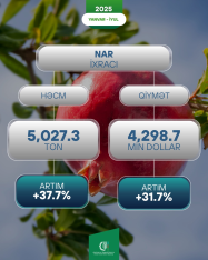 Azərbaycanın xaricə nar ixracatı - 40%-Ə YAXIN ARTIB | FED.az