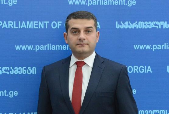Azərbaycanlı deputat Gürcüstan Dövlət Konstitusiya Komissiyasının tərkibinə daxil edilib