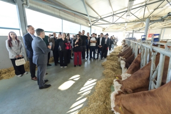 Hibrid avto ustası, aşbaz, parnik işçisi və …məktəbdə otel - [red]Peşə təhsili əmək bazarına yeni qapı açıb –REPORTAJ[/red] | FED.az