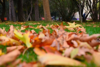 20 dərəcə isti - SABAHIN HAVA PROQNOZU