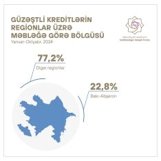 Güzəştli kreditlərin regionlar üzrə bölgüsü açıqlanıb | FED.az