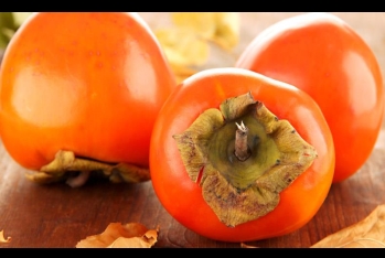 1 ayda xaricə 41 milyon dollarlıq xurma satılıb - YENİ RƏQƏMLƏR