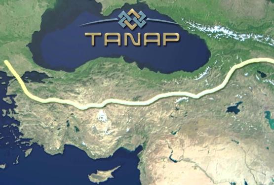 MIGA TANAP-a 1,2 mlrd. dollarlıq zəmanət verib