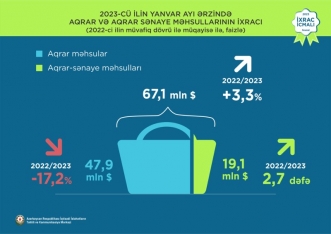 Elektrik enerjisi 1-ci, mahlıc 2-ci, meşə fındığı 3-cü olub - İXRAC İCMALI | FED.az