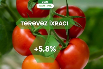 Xarici bazarlara tərəvəz ixracında 5,8 faiz artım qeydə alınıb