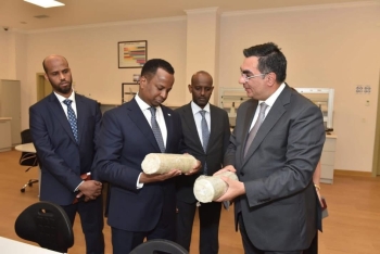 SOCAR Somalidən olan tələbələr üçün 3 təqaüd yeri ayırıb | FED.az