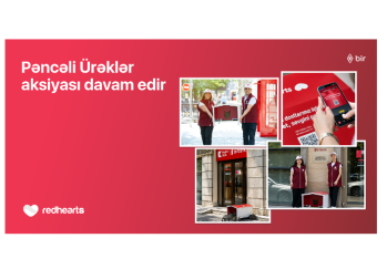 В рамках акции «Pəncəli Ürəklər» число домиков для бездомных животных достигло 35