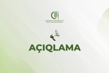Samuxda xəstə heyvanlar təcrid edilib, müalicəyə cəlb edilib - AÇIQLAMA