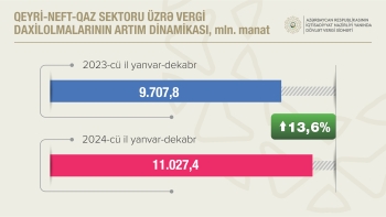 Azərbaycanda qeyri-neft-qaz sektorundan vergi daxilolmaları 14 %-ə yaxın artıb | FED.az