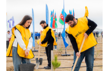 Yelo Bank поддерживает цель в 1 000 000 деревьев!