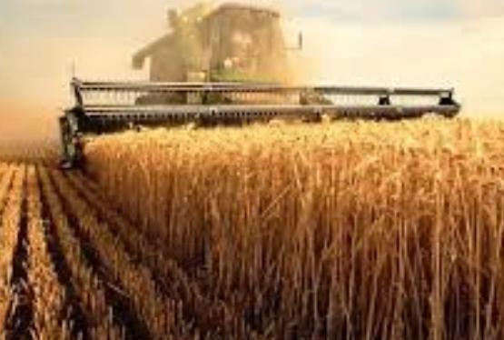6 тенденций, которые будут управлять сельским хозяйством с 2017 года.