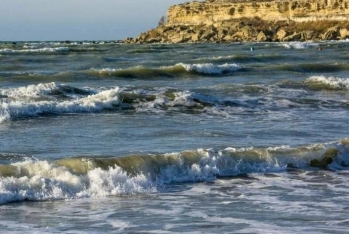 Xəzərin "Qarabağ" sahəsində bir sıra qiymətli və nadir balıq növləri aşkarlanıb