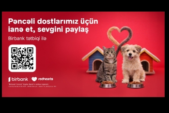 “Pəncəli Ürəklər” sahibsiz heyvanlara dəstək aksiyası uğurla - [red]DAVAM EDİR[/red] | FED.az