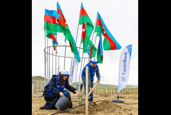 Следующий шаг ТуранБанка к «зеленому будущему»: цель — 1 миллион деревьев | FED.az