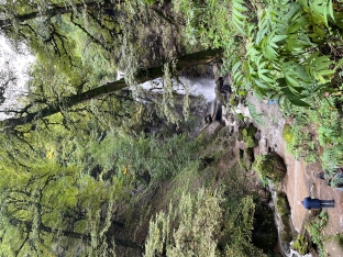Bir şəlalə ilə başlayan turizm layihəsi - Astaranın Sım kəndi - FOTOLAR | FED.az