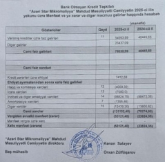 “Azəri Star Mikromaliyyə” BOKT ötən ili  pis işləyib - [red]ŞİRKƏT ZƏRƏRDƏDİR [/red] | FED.az
